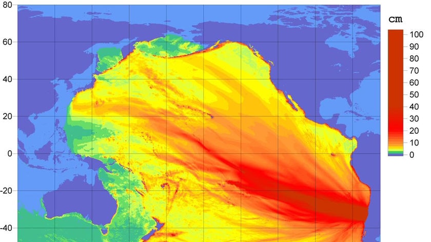 Model of Chilean tsunami's path