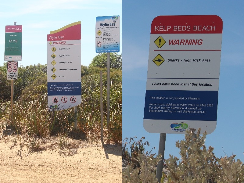 Two photos, one shows a small mention of sharks on a sign at Wylie Bay, another notes a high risk of sharks at Kelp Beds