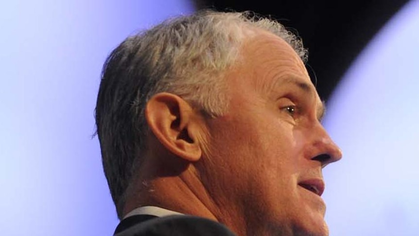 Mr Turnbull argues there is nothing new in admitting that he would like to be leader again one day.