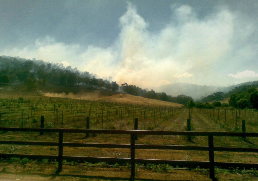 John Kinsella ABC News