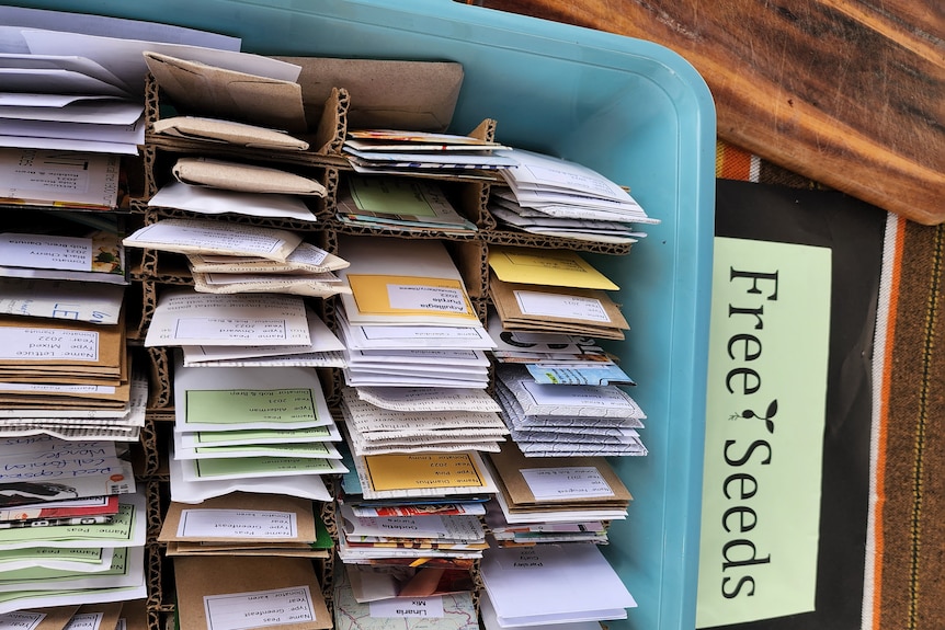 A plastic box containing packets of seeds.