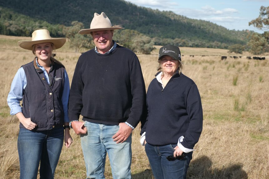 A young woman with an older man and woman all wearing hat in paddock with cattle behind.