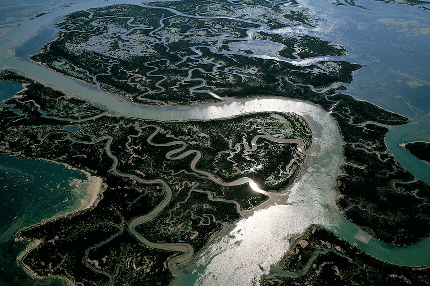 A bird's eye shot of a glassy blue lagoon in Italy spiraling through a dark green landscape in ribbon-like shapes.