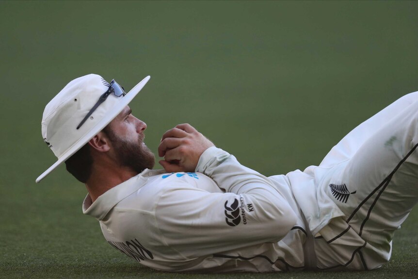 New Zealand captain Kane Williamson lies down on the grass after taking a catch during a Test match.