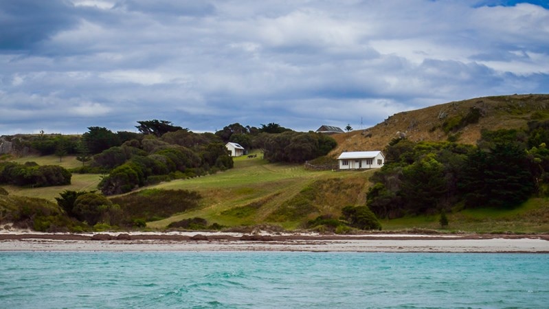 Waterhouse Island, Tasmania