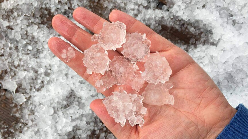 A handful of hail, after ice fell over Alice Springs.