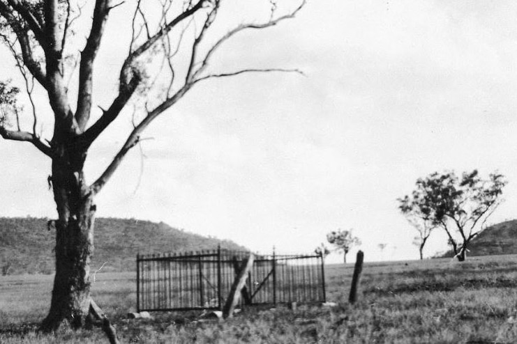 A black and white image of a single, fenced grave in an empty paddock.
