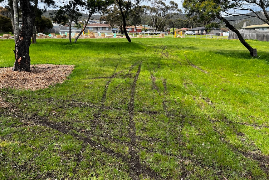 bike tracks in the grass of a park