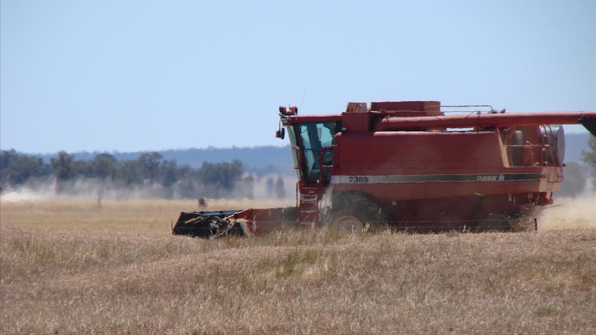 Drought harvester