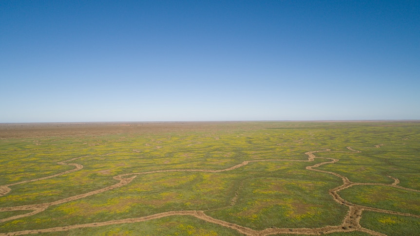 As floodwaters break river banks and weave across the Channel Country, the water brings the dry land back to life.