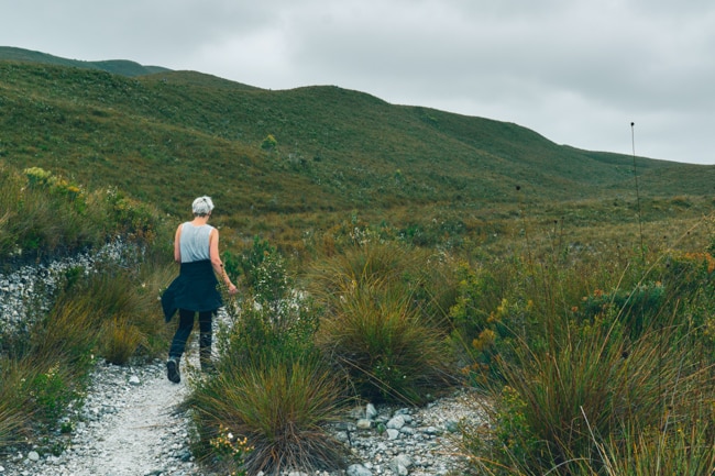 Lone female hiker on wilderness walking track.