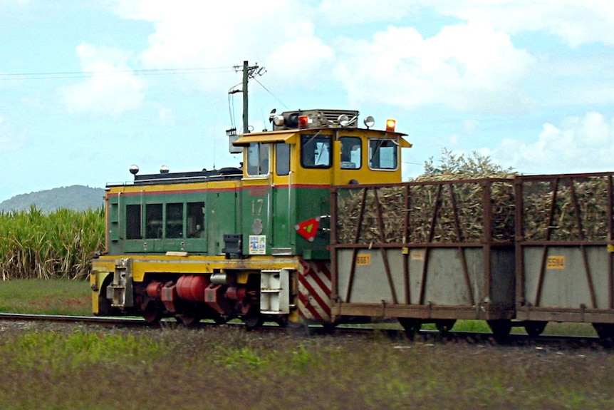 A cane train at work.