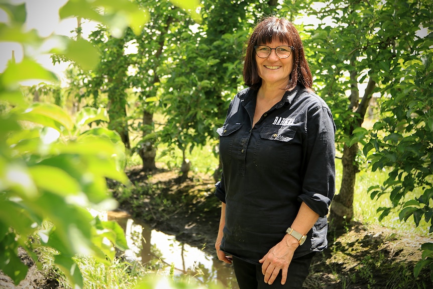 Joanne Fahey stands wearing a black shirt among apple trees in her orchard.