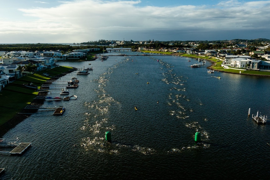 Aerial shot of a group of athletes swimming competitively in a river in Port Macquarie. 