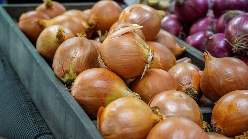 Brown and red onions on display in grocery store