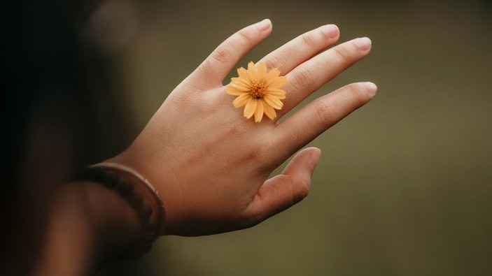 Photo of a hand that has a flower between the fingers 