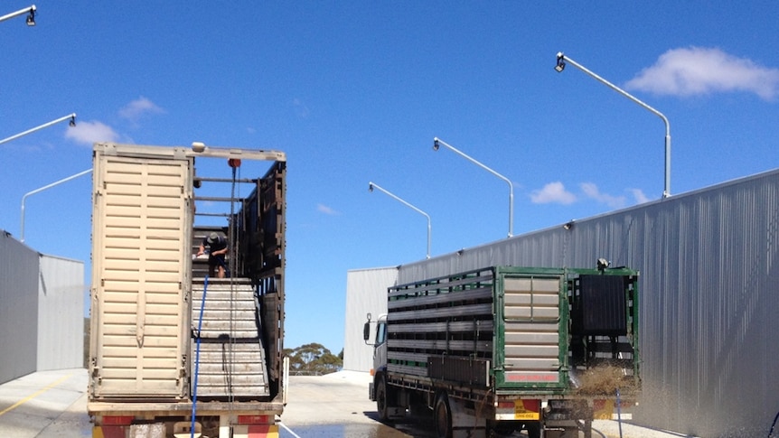 Two trucks side by side in a concrete walled truck bay being washed.