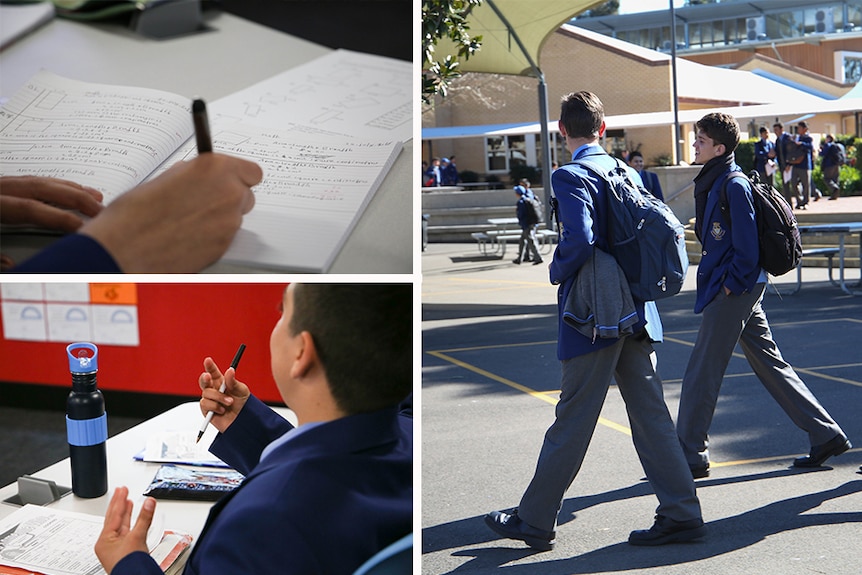 Boys learn maths and cooking, and walk in the playground, at school in Sydney.