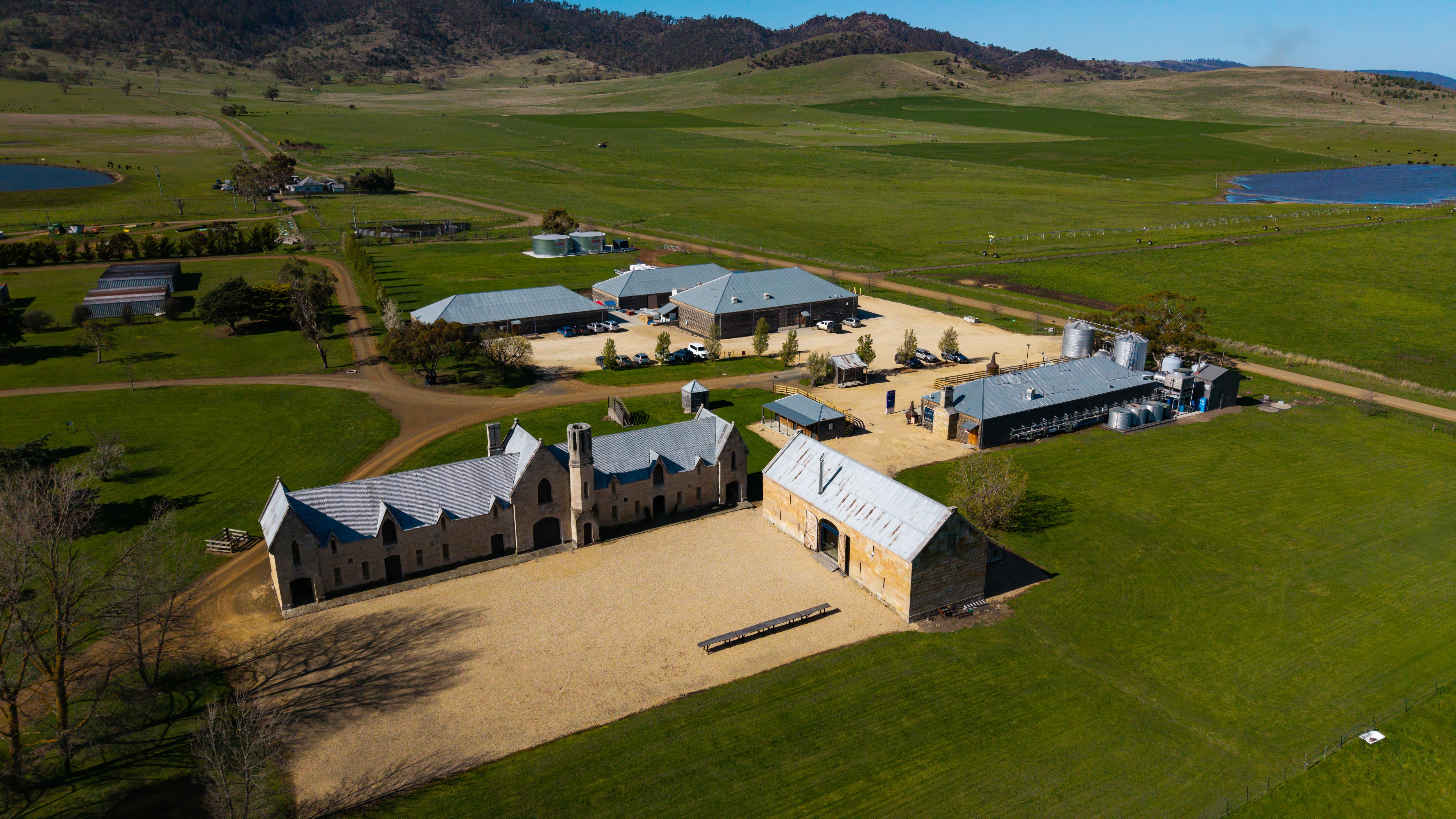 Amid whisky's global gloom Tasmania is still seizing 'amazing opportunities'