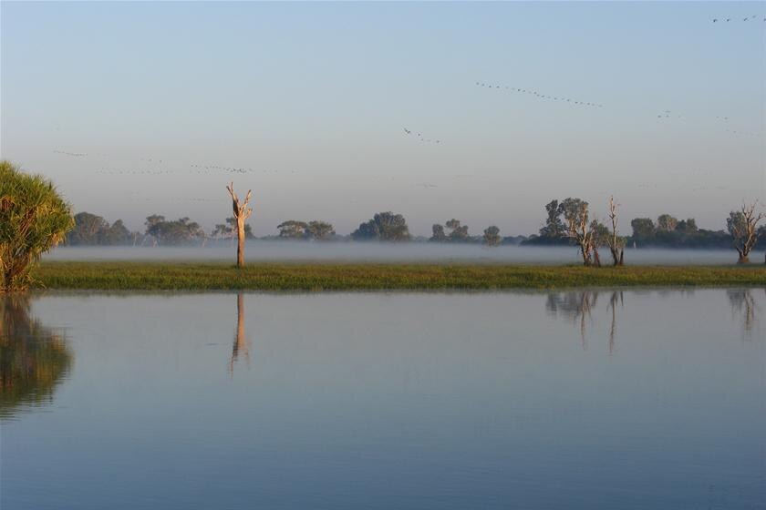 Mist is seen in the Yellow Waters area in Kakadu.