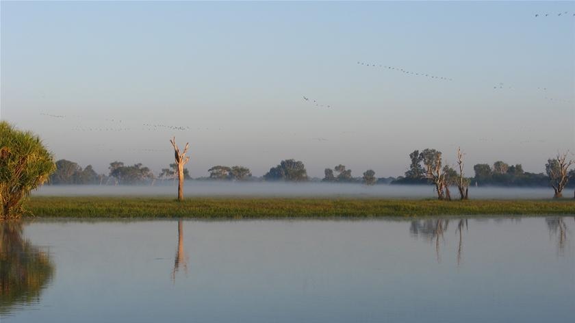 Mist over Yellow Water, Kakadu
