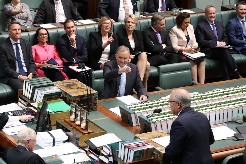 Anthony Albanese points at Scott Morrison in Parliament