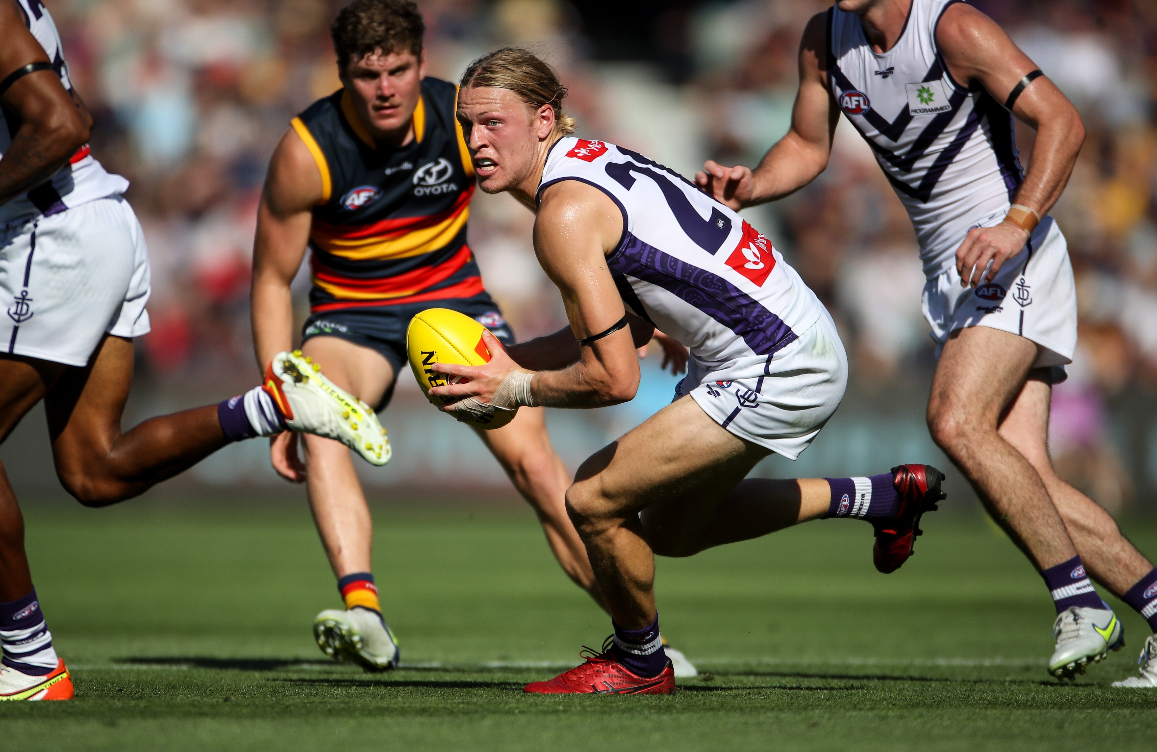 A man playing Australian rules football looks for options to dispose of the ball