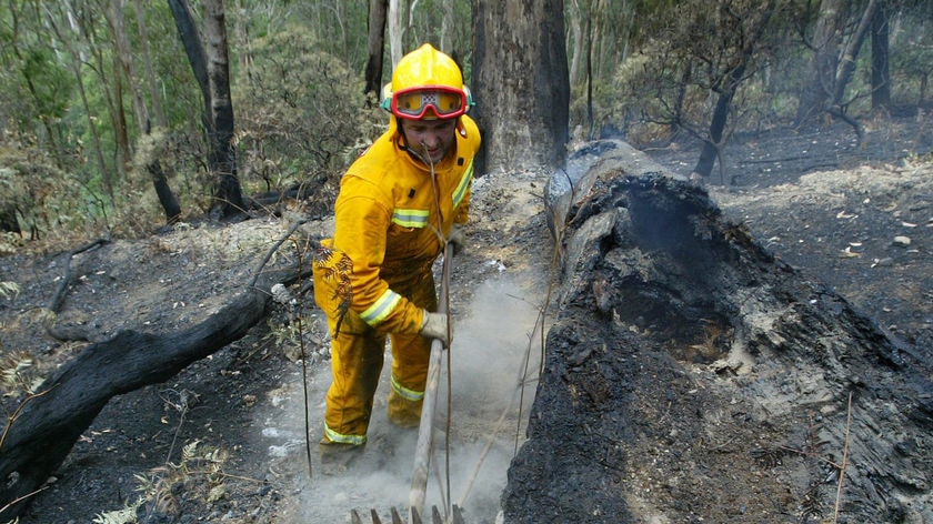 A CFA fire fighter mops up hot spots form bushfires surrounding the Kinglake area.
