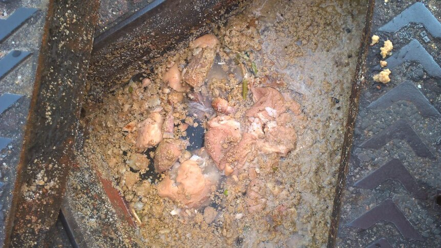 The mushed-up soggy Yorkshire puddings covering a drain in a road