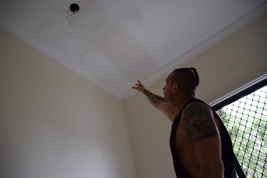 Renter Mark Kuchel inspects his rain-damaged ceiling.