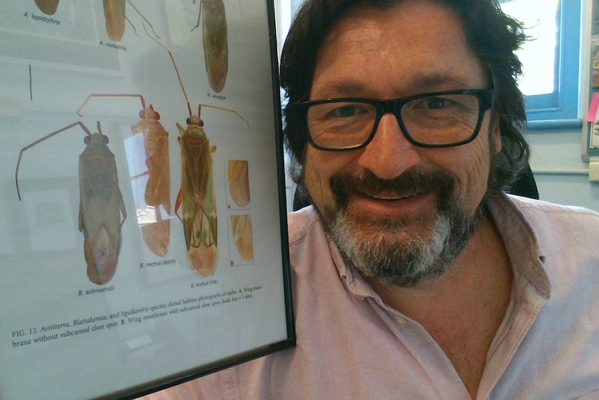 A man with glasses and a bear holds up a framed picture with bugs and a smile. 