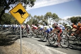 Cyclists pass a kangaroo sign in Stage One of the Tour Down Under in Adelaide in 2009
