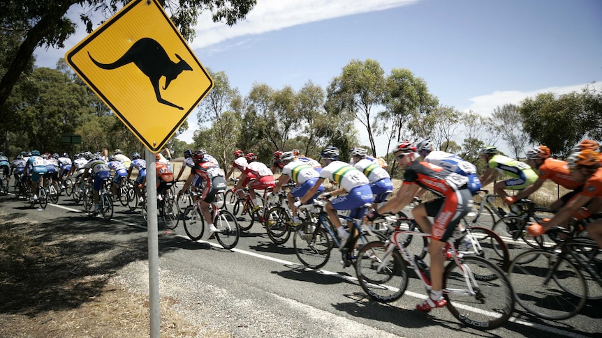 Cyclists pass a kangaroo sign in Stage One of the Tour Down Under in Adelaide in 2009