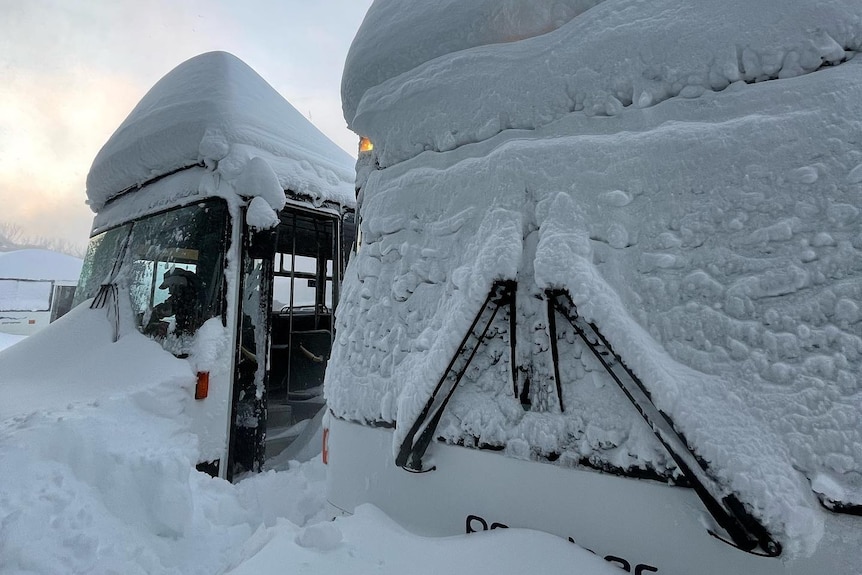 Snow coating vehicles 