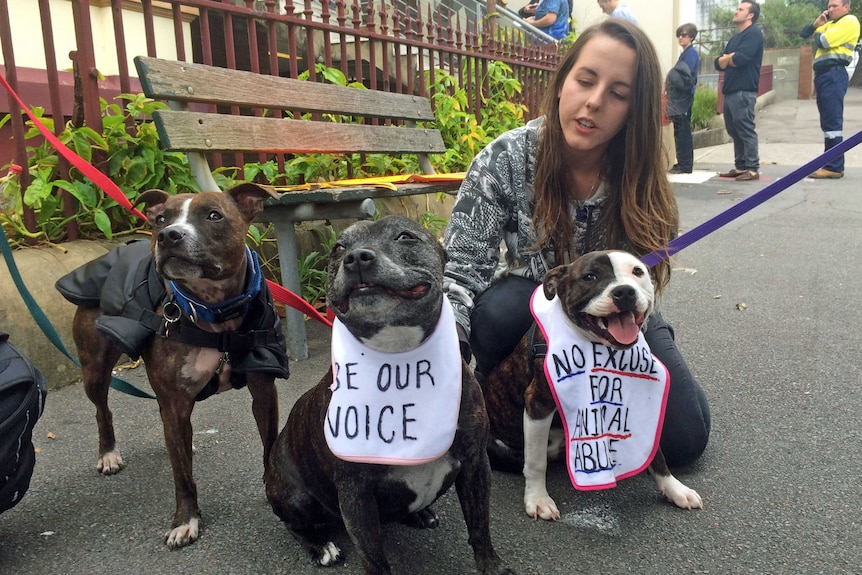 Kimberley Veldman campaigns for animal welfare outside court