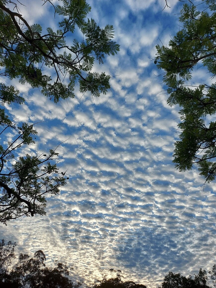 Interesting cloud formations were seen over Brisbane on Friday morning.