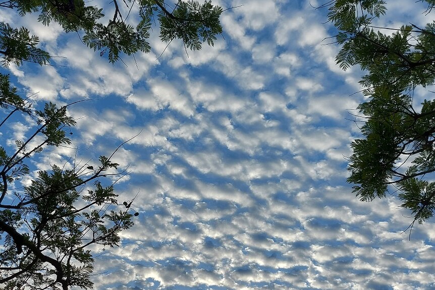 Interesting cloud formations were seen over Brisbane on Friday morning.