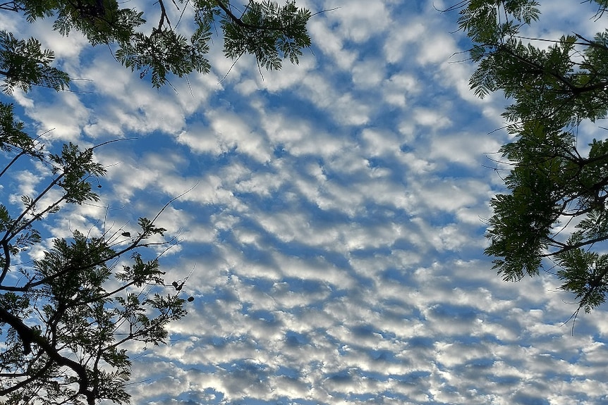 Interesting cloud formations were seen over Brisbane on Friday morning.