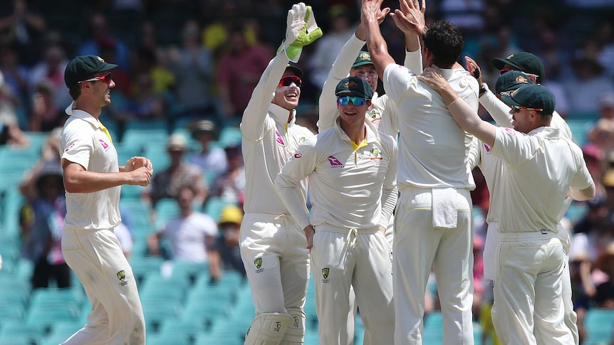 Steve Smith stands amid Australian players celebrating a wicket