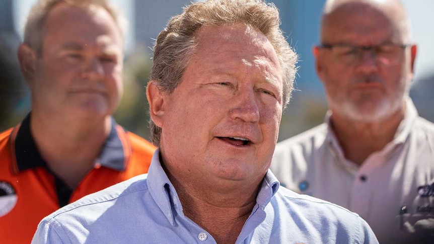 Andrew Forrest and his wife Nicola talk at a press conference.