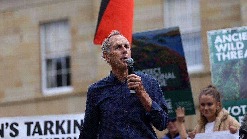 Bob Brown, former leader of the Greens