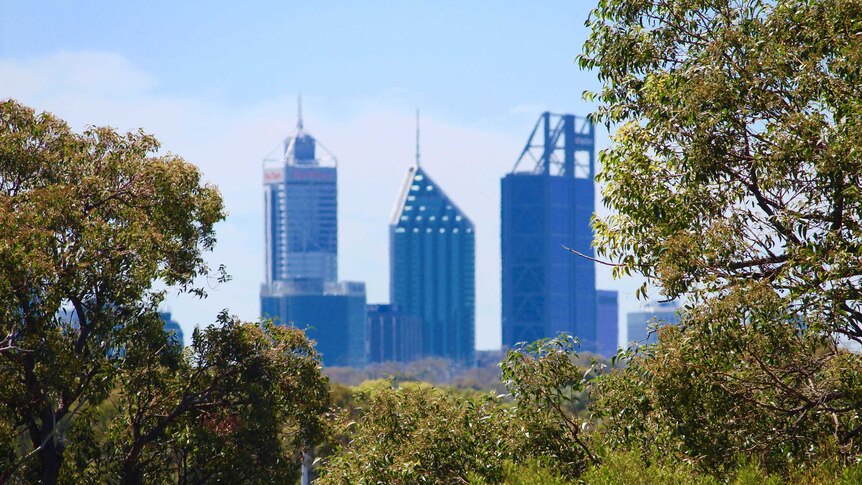 Perth city skyline from bushland