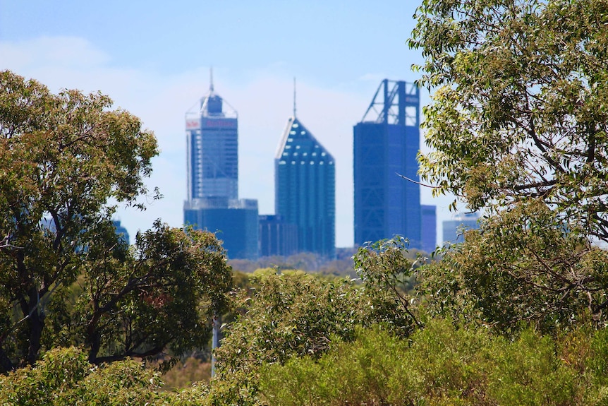 Perth city skyline from bushland