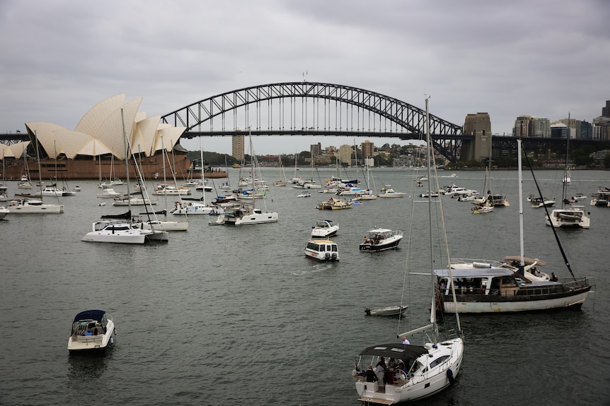Boats on a harbour with the Sydney Harbour Bridge in the background.