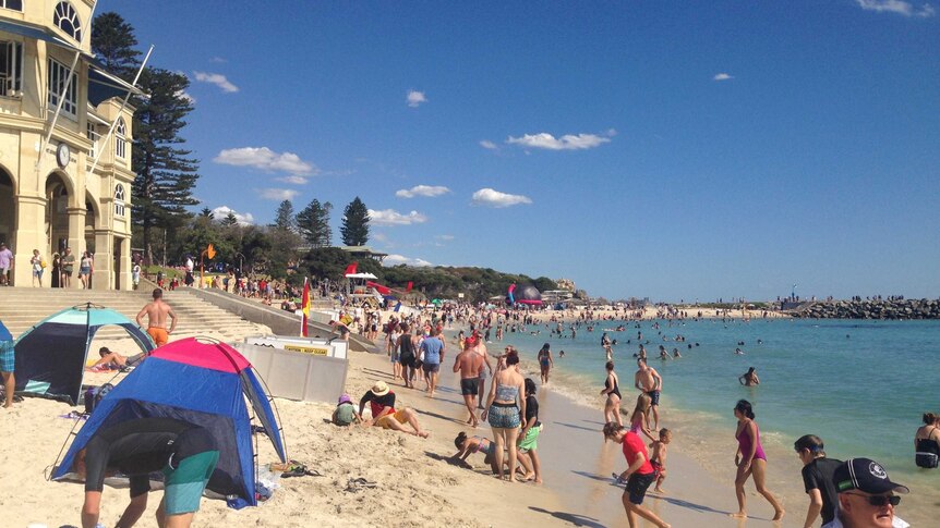 A wide shot of Cottesloe Beach and the Indiana tearooms, showing lots of people on the sand and in the water on a sunny day.