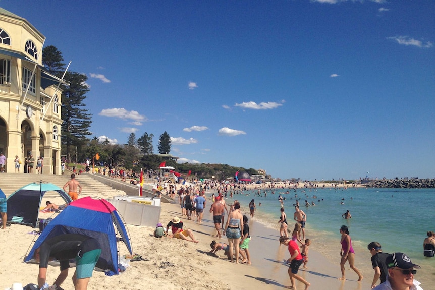 A wide shot of Cottesloe Beach and the Indiana tearooms, showing lots of people on the sand and in the water on a sunny day.