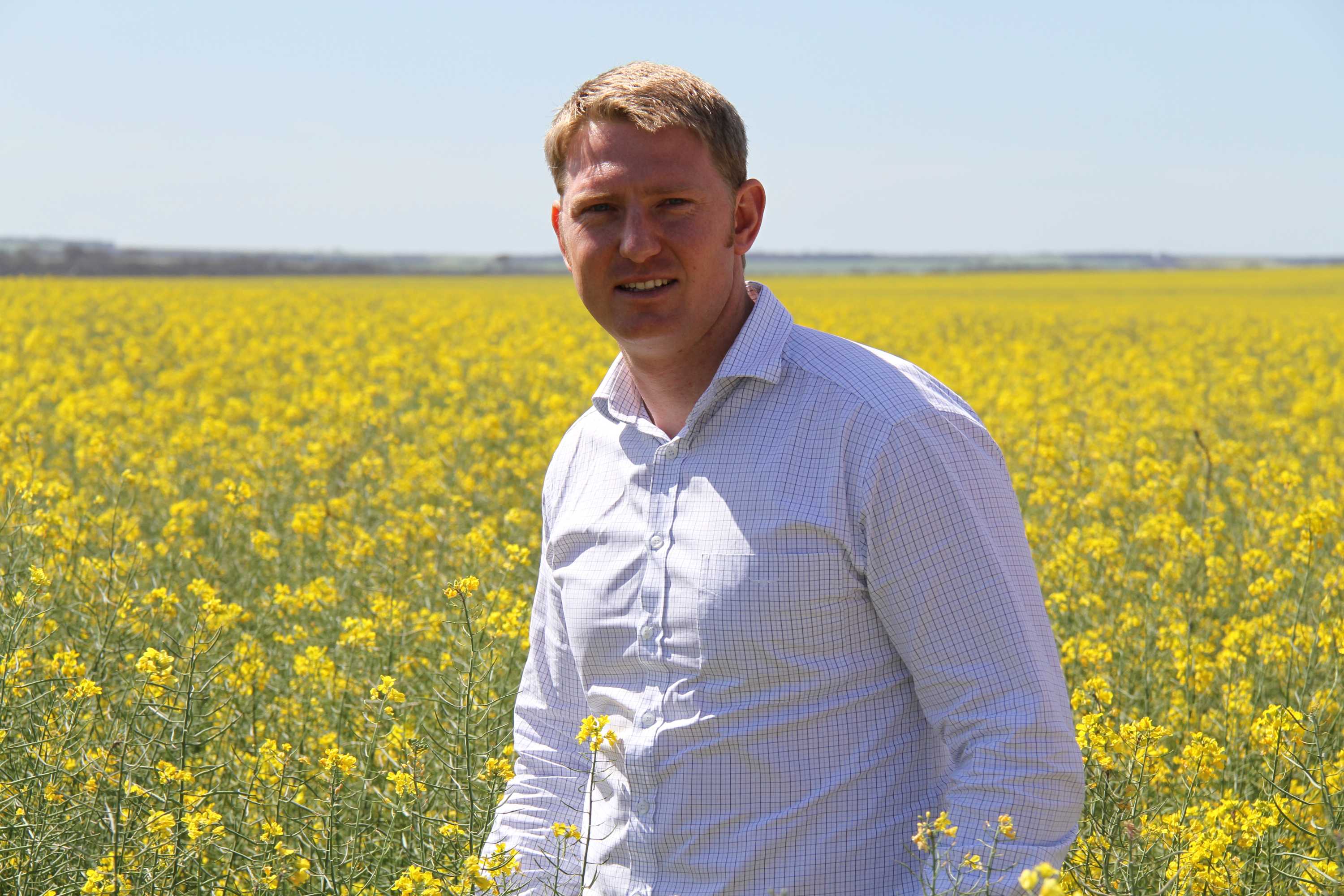 CBH Group holds fees and makes changes ahead of 2016-17 grain harvest ...