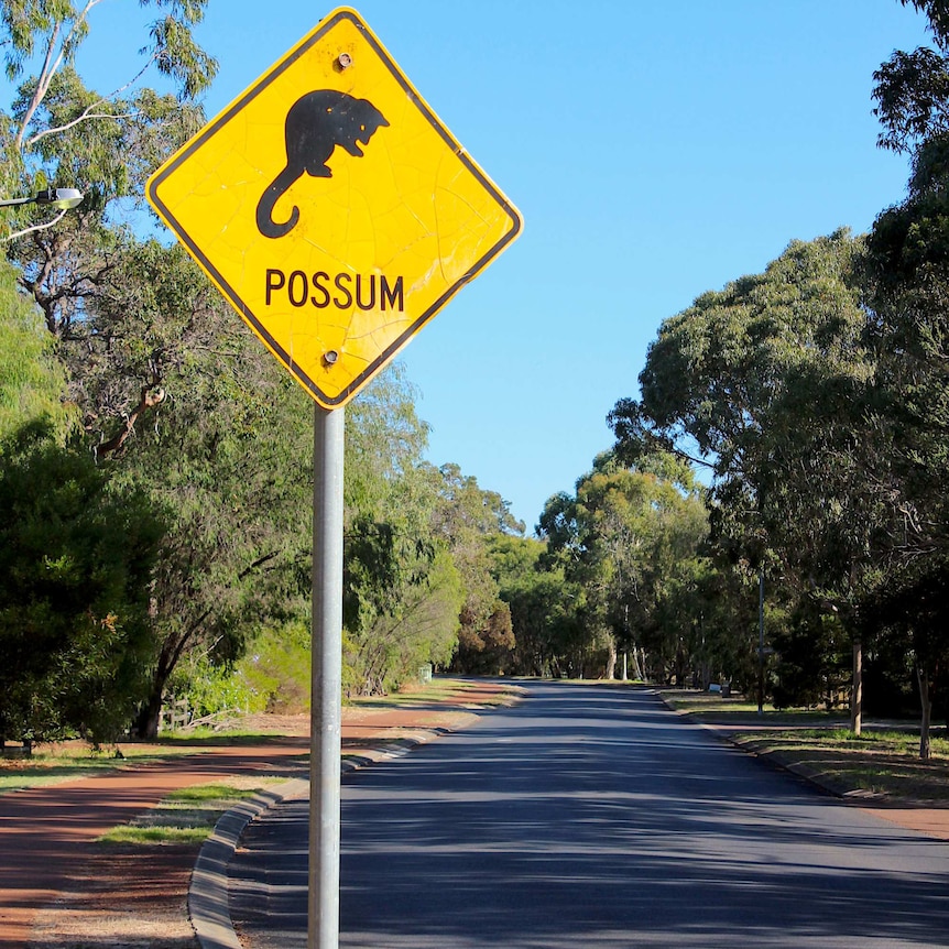 a sign on the side of a road.