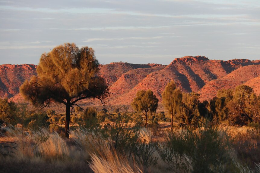 Red hills in the distance of an outback scene.