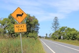 Bright yellow warning sign on side of major road in Port Macquarie warning of deer in area.